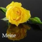 onlinemedium.nl - online medium Meine